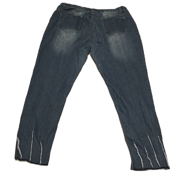 Bundle (2)Nytrends 4 & Lane Bryant 5-Pocket Jeans, Size 20 - Picture 4 of 16